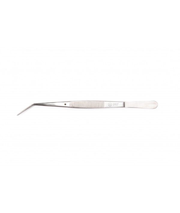 Pinza